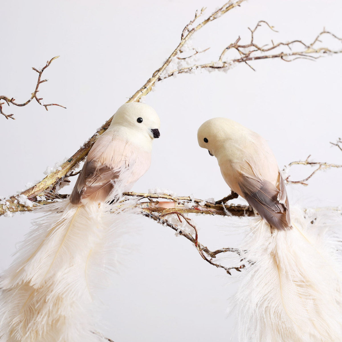 Yulemere Cream Real Ostrich Feather Clip On Bird Ornament Set of 2 detail view 3