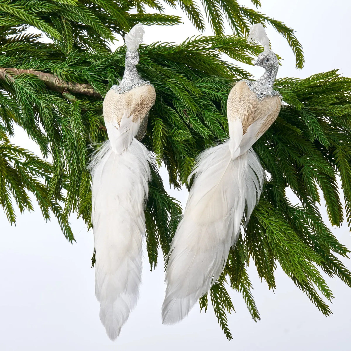 Yulemere Pair of Silver and White Glitter Peacock Christmas Ornament overall view