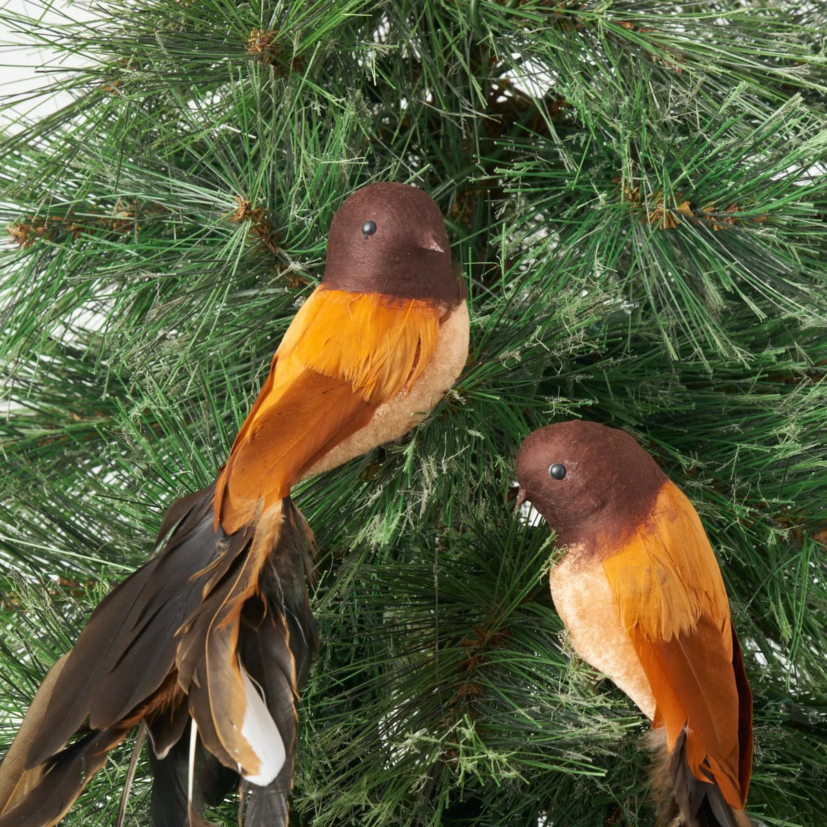 Yulemere Orange and Black Feather Clip on Bird Christmas Ornament detail view 2