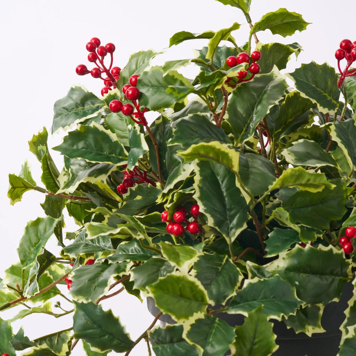Yulemere Variegated Green Holly Leaf and Red Berry Vine Decor detail view 3