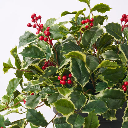Yulemere Variegated Green Holly Leaf and Red Berry Vine Decor detail view 3