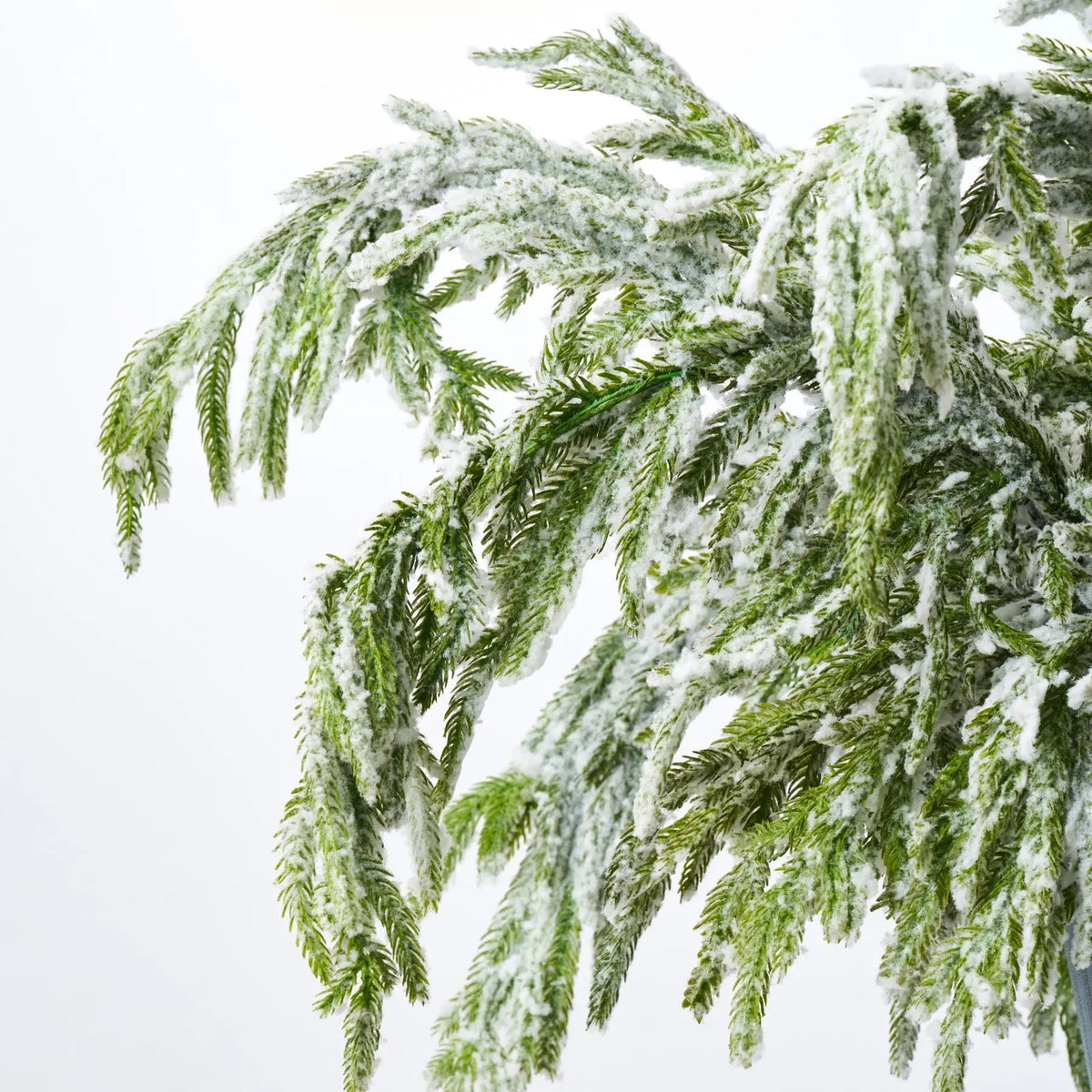 Yulemere Snow Flocked Real Touch Norfolk Pine Holiday Centerpiece detail view 2
