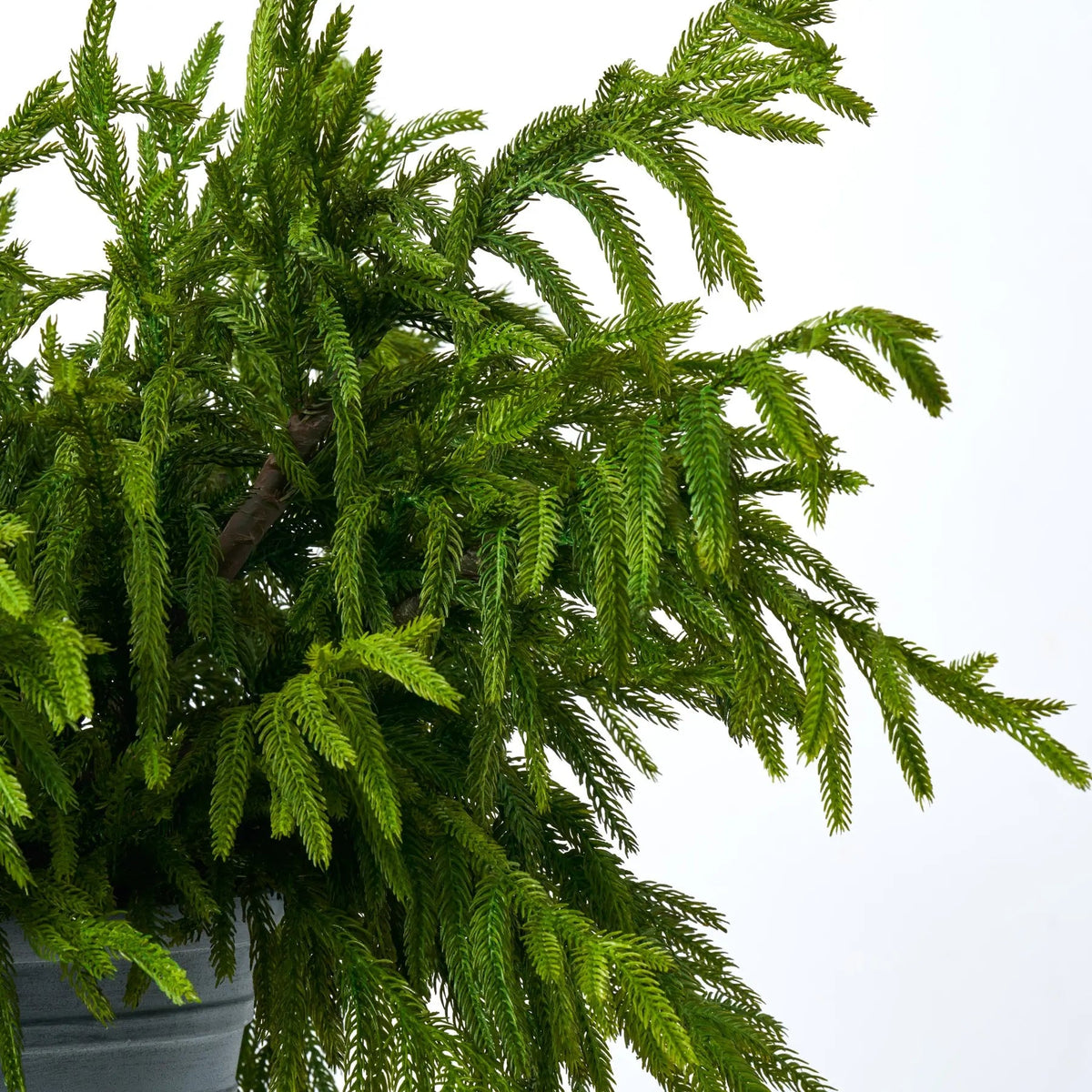 Yulemere Natural Touch Norfolk Pine Large Outdoor Holiday Centerpiece detail view 2