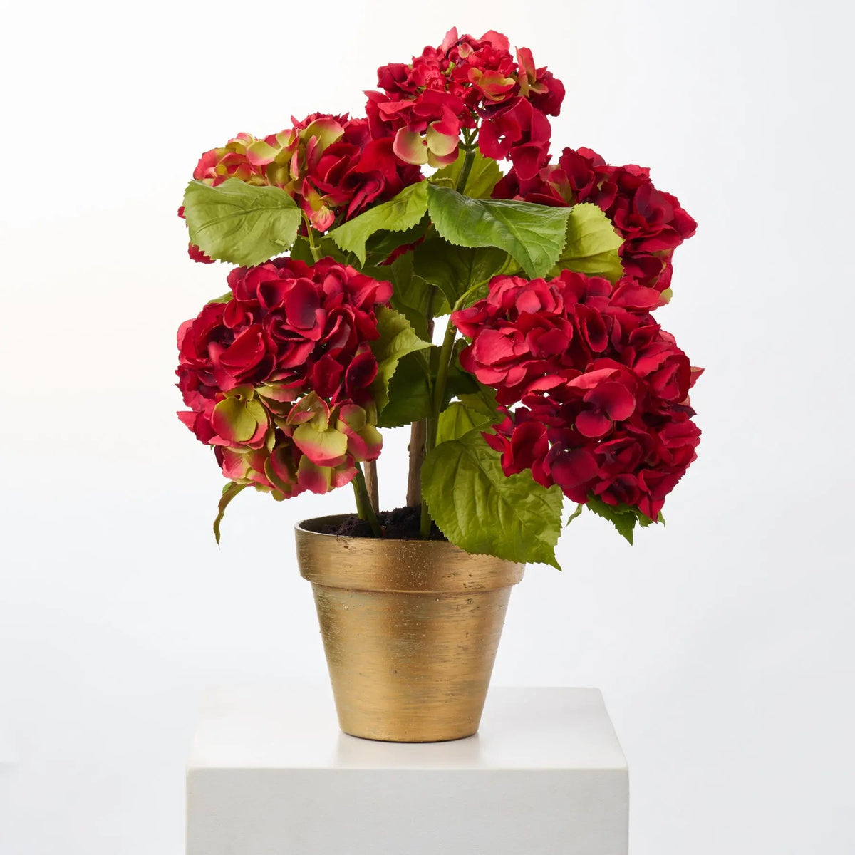 Yulemere Potted Red Silk Hydrangea Stems Flowering Multi Bloom detail view 3