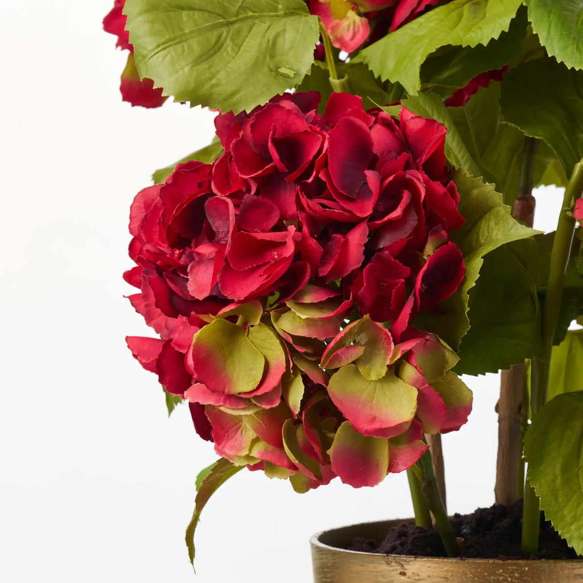 Yulemere Potted Red Silk Hydrangea Stems Flowering Multi Bloom detail view 2