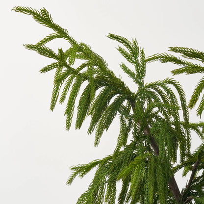 Yulemere Real Touch Norfolk Topiary Tree in Black detail view 2