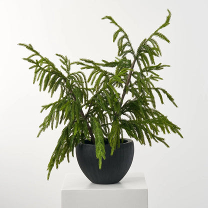 Yulemere Real Touch Norfolk Topiary Tree in Black overall view