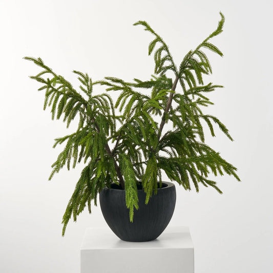 Yulemere Real Touch Norfolk Topiary Tree in Black overall view