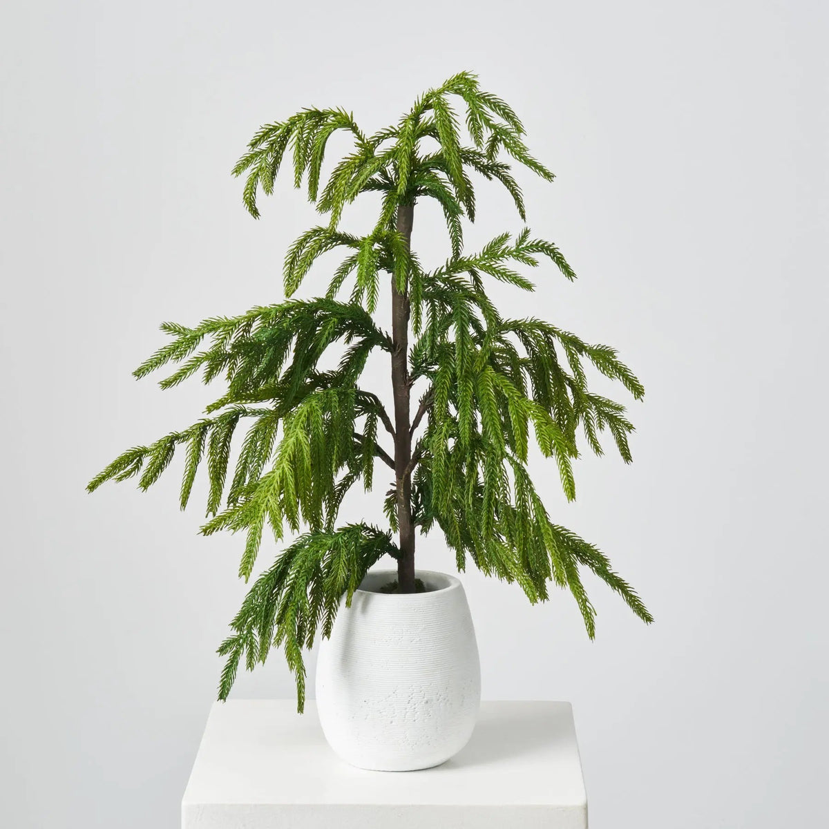 Yulemere Lifelike Real Touch Norfolk Faux Tree Holiday Centerpiece detail view 3