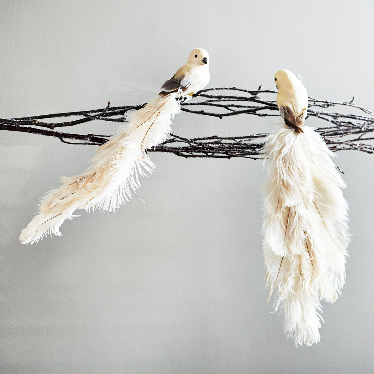 Yulemere Cream Real Ostrich Feather Clip On Bird Ornament Set of 2 overall view