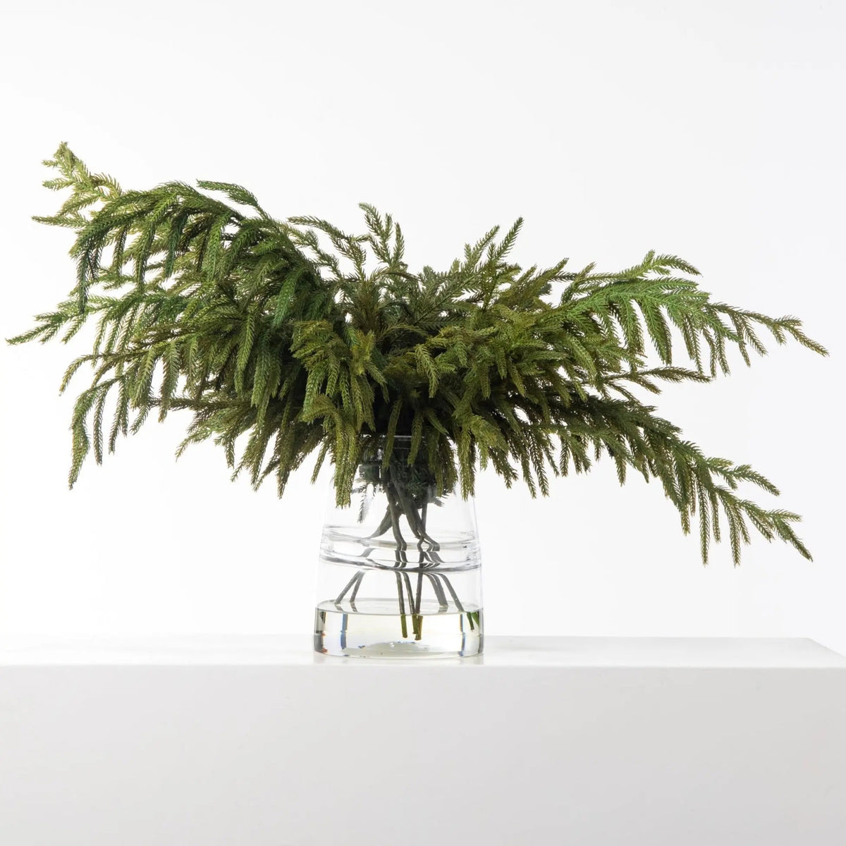 Yulemere Real Touch Norfolk Pine Branches in Glass Jug Vase overall view