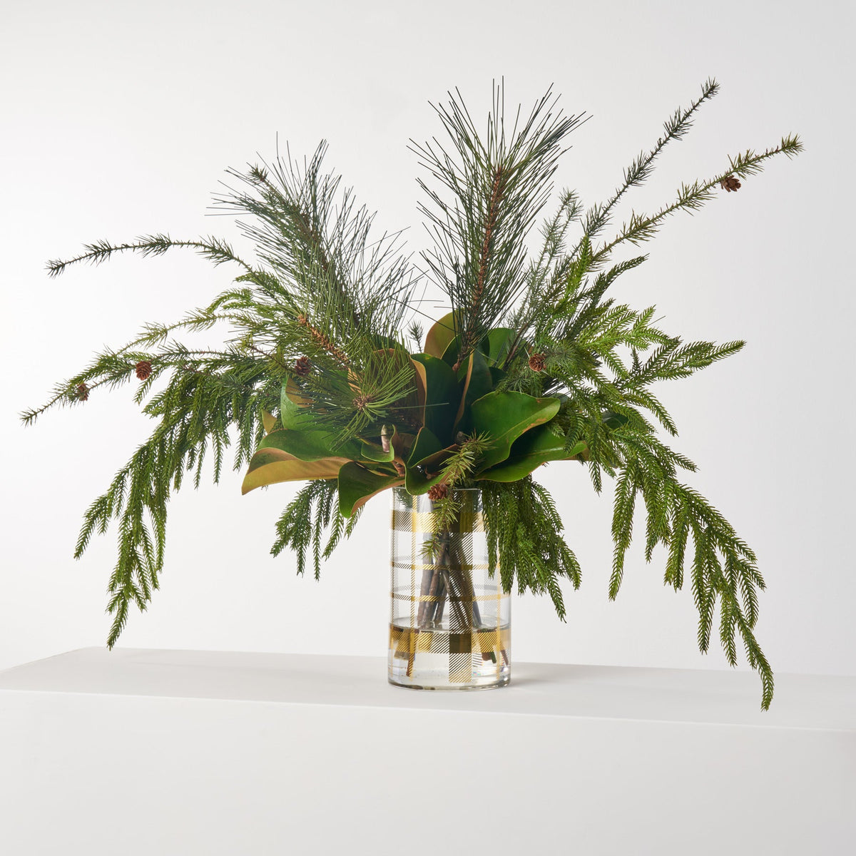Yulemere Norfolk and Scotch Pine Holiday Centerpiece overall view