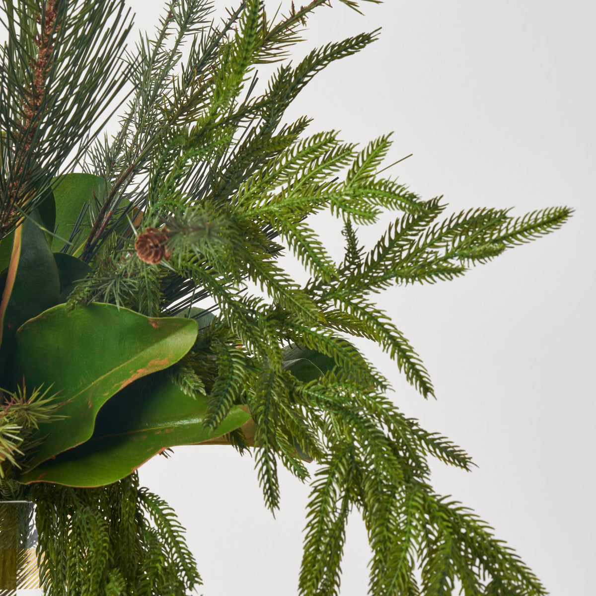 Yulemere Norfolk and Scotch Pine Holiday Centerpiece detail view 2