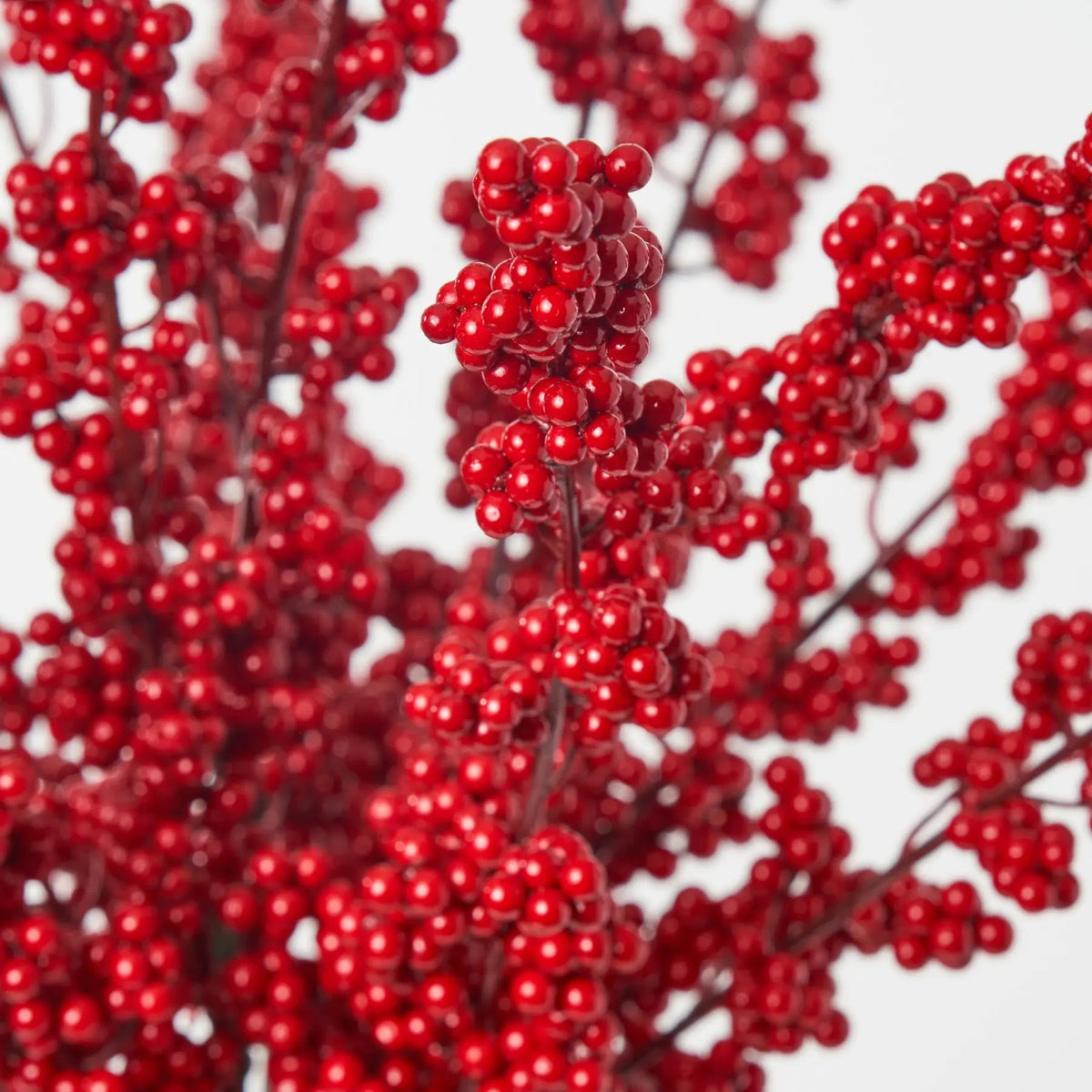 Yulemere Red Ilex Winter Berry in Layered Glass Holiday Centerpiece detail view 3