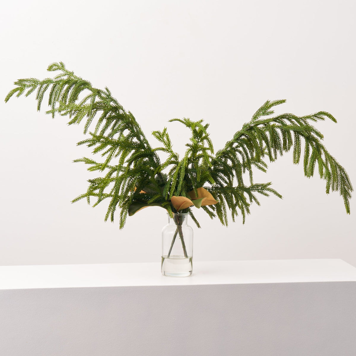 Yulemere Real Touch Norfolk Pine and Magnolia Leaf Holiday Arrangement detail view 3