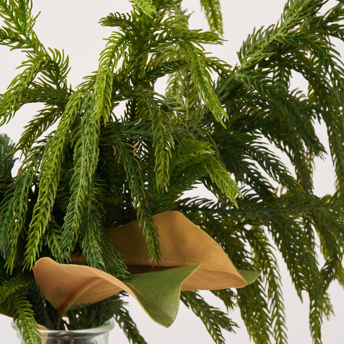 Yulemere Real Touch Norfolk Pine and Magnolia Leaf Holiday Arrangement detail view 2