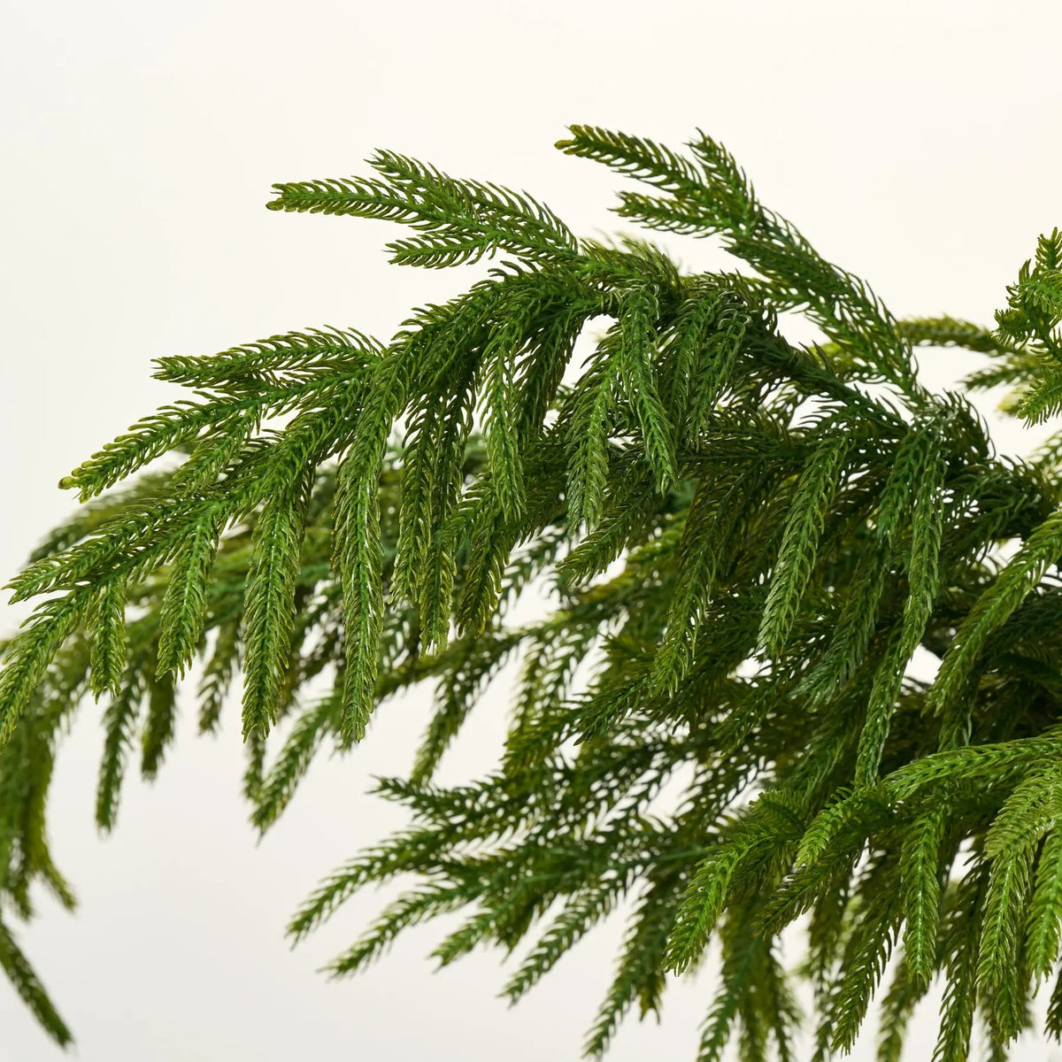 Yulemere Real Touch Draped Norfolk Stems detail view 2
