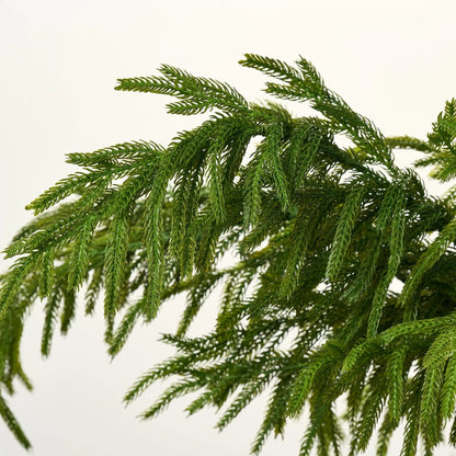Yulemere Real Touch Draped Norfolk Stems detail view 2