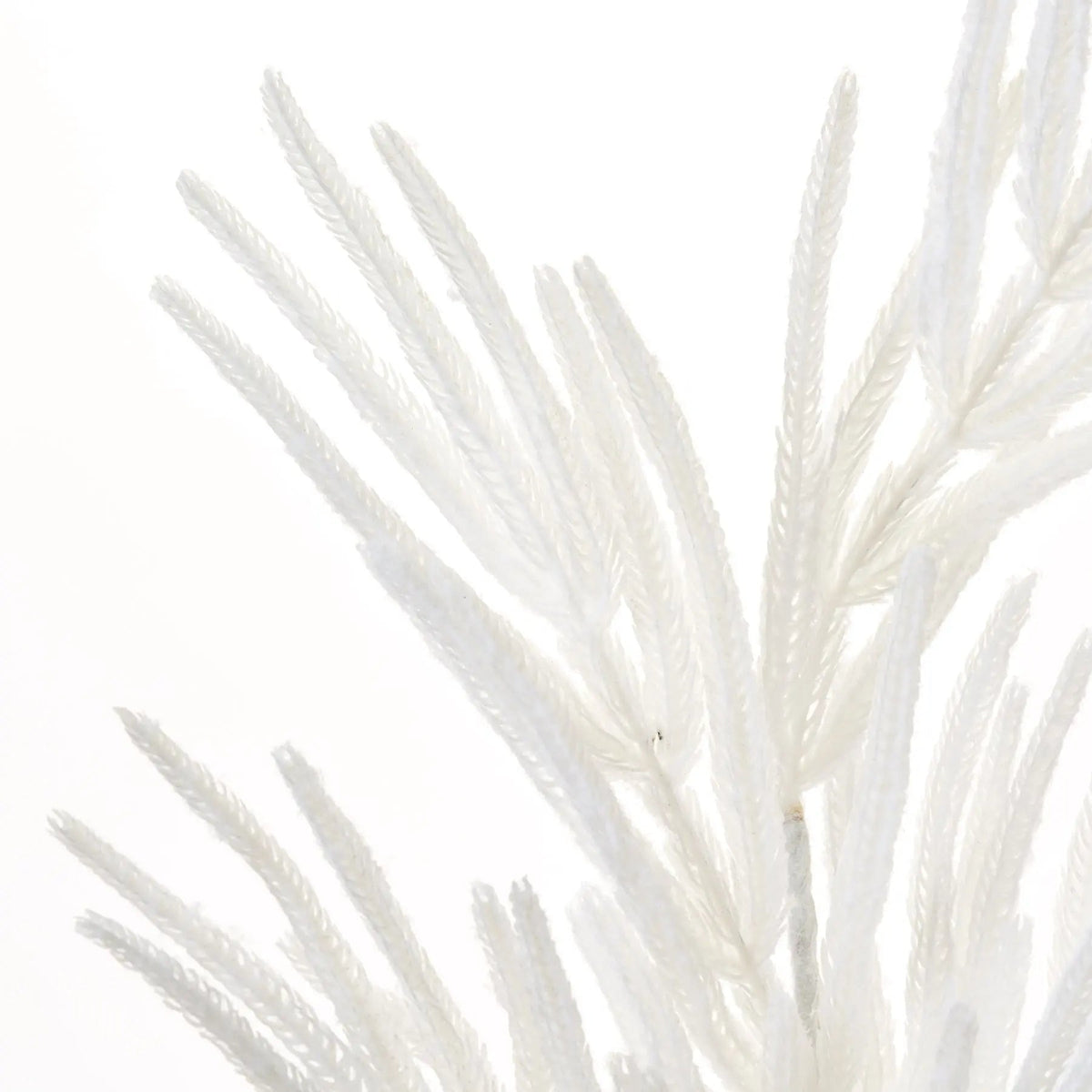 Yulemere Real Touch Flocked White Norfolk Pine Branch detail view 2