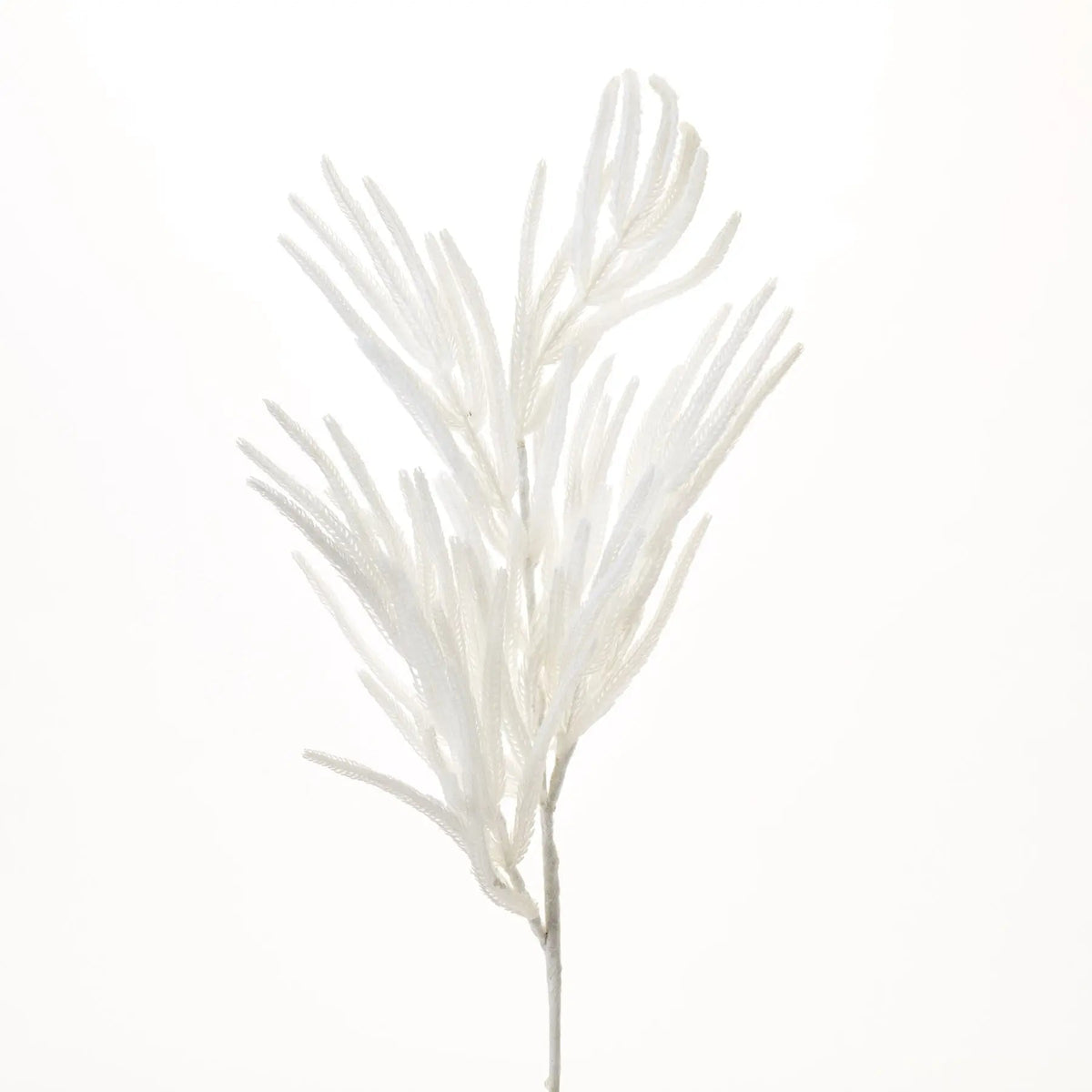 Yulemere Real Touch Flocked White Norfolk Pine Branch detail view 3