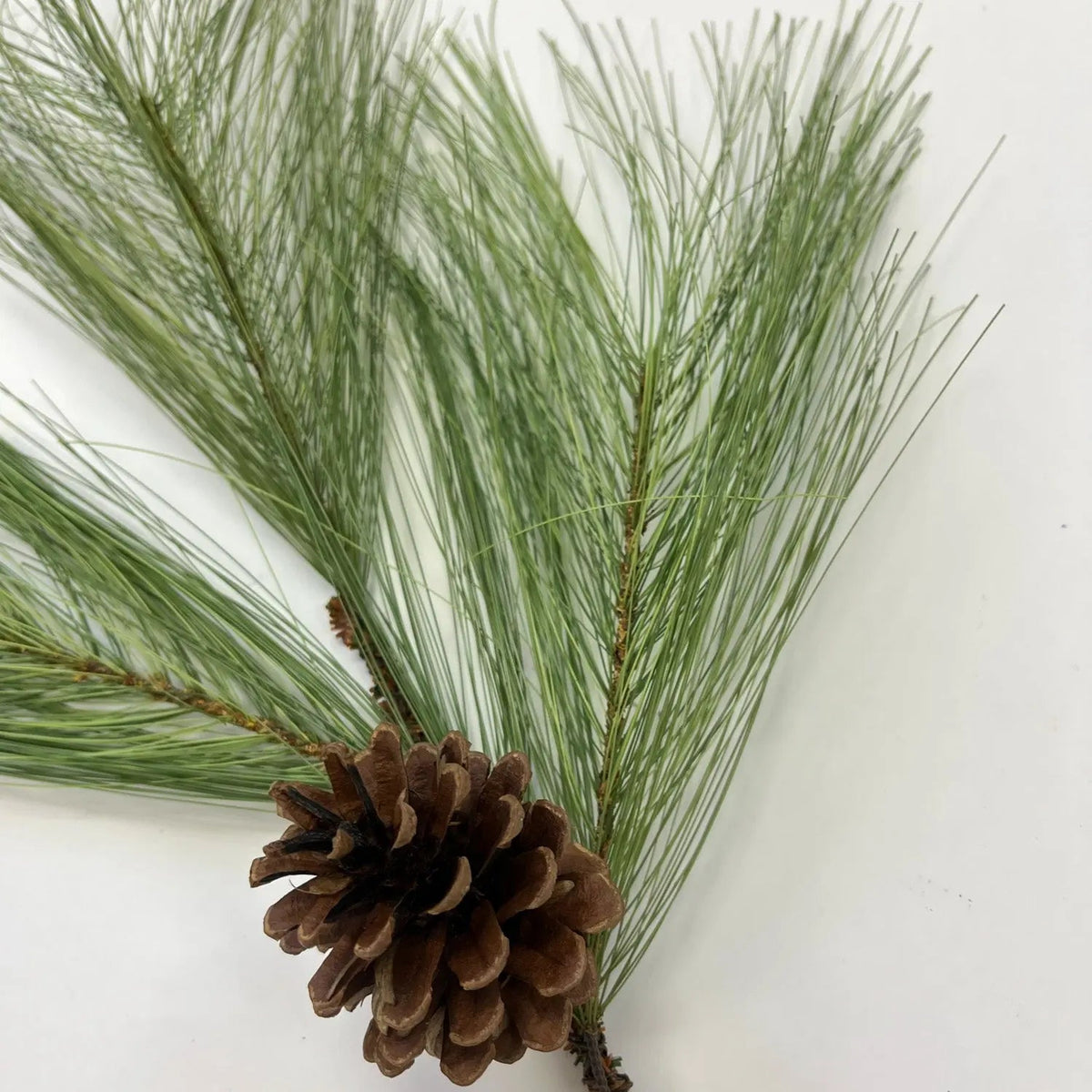Yulemere Long Needle Pine and Pinecone Winter Spray detail view 2