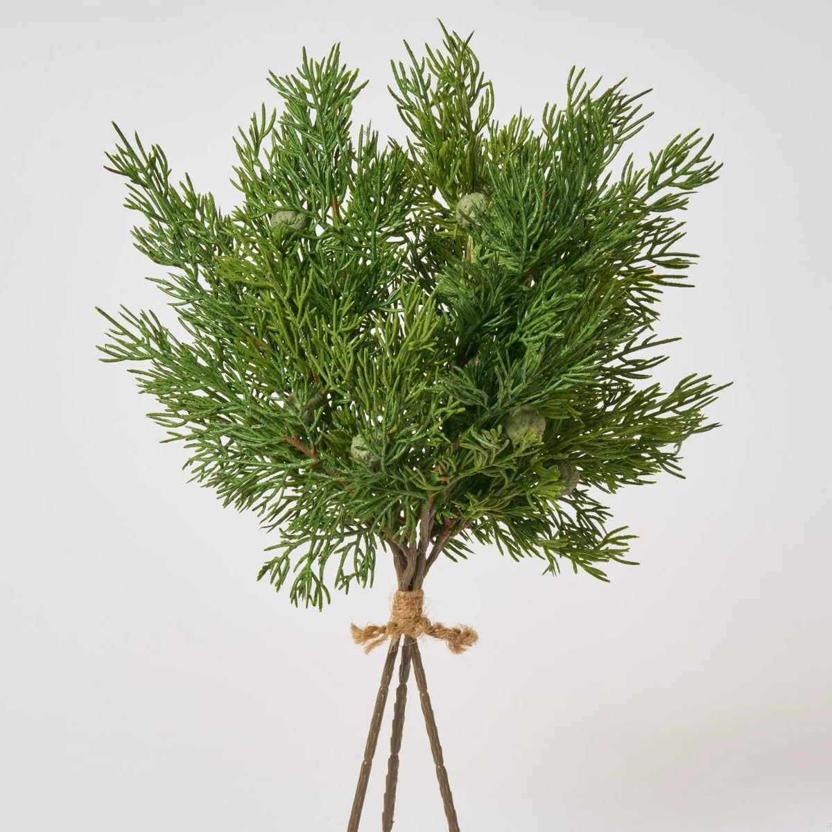 Yulemere Seeding Juniper Berry Winter Stem Bundle of 3 overall view