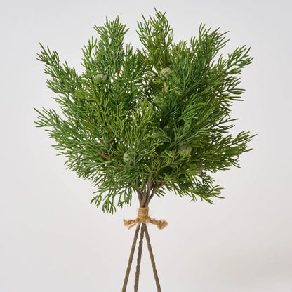 Yulemere Seeding Juniper Berry Winter Stem Bundle of 3 overall view