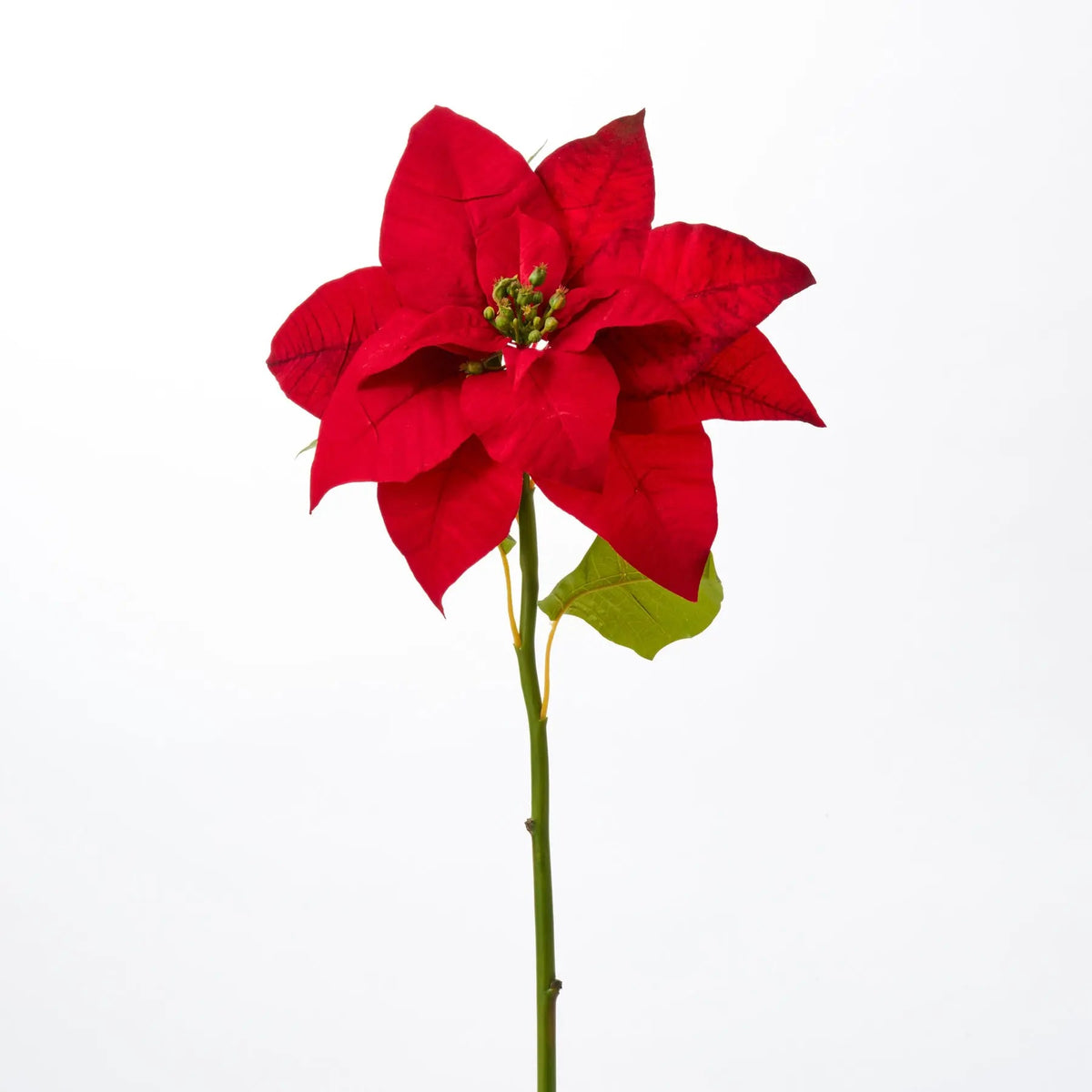 Yulemere Red Velvet Christmas Poinsettia Bloom Single Stem overall view