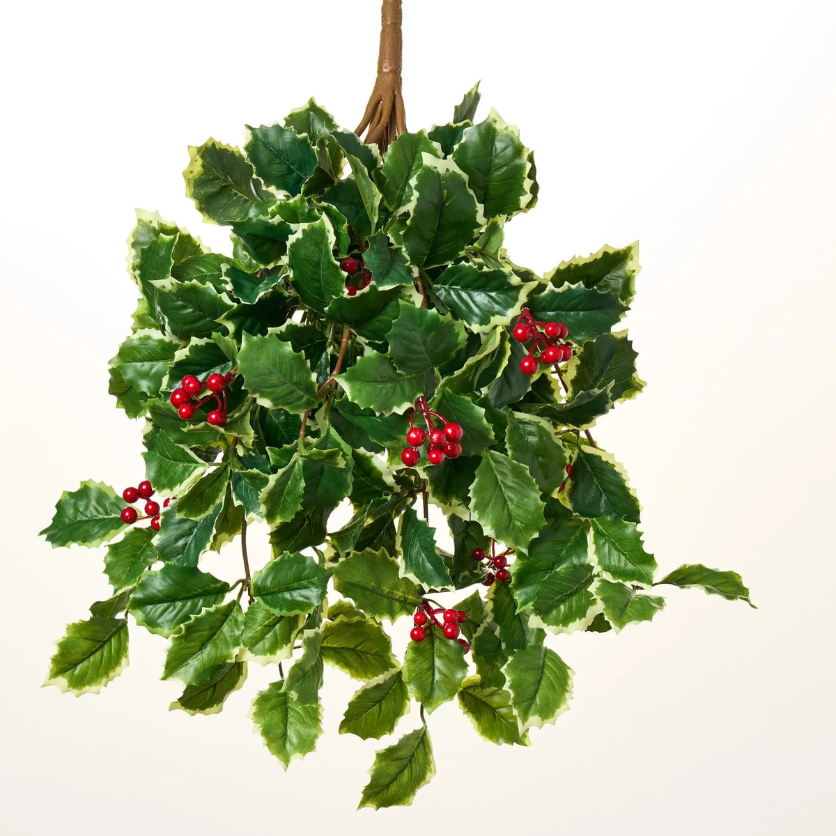 Yulemere Variegated Green Holly Leaf and Red Berry Vine overall view