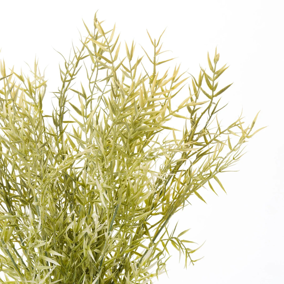 Yulemere Yellow and Sage Green Common Juniper Bundle of 14 Stems detail view 2