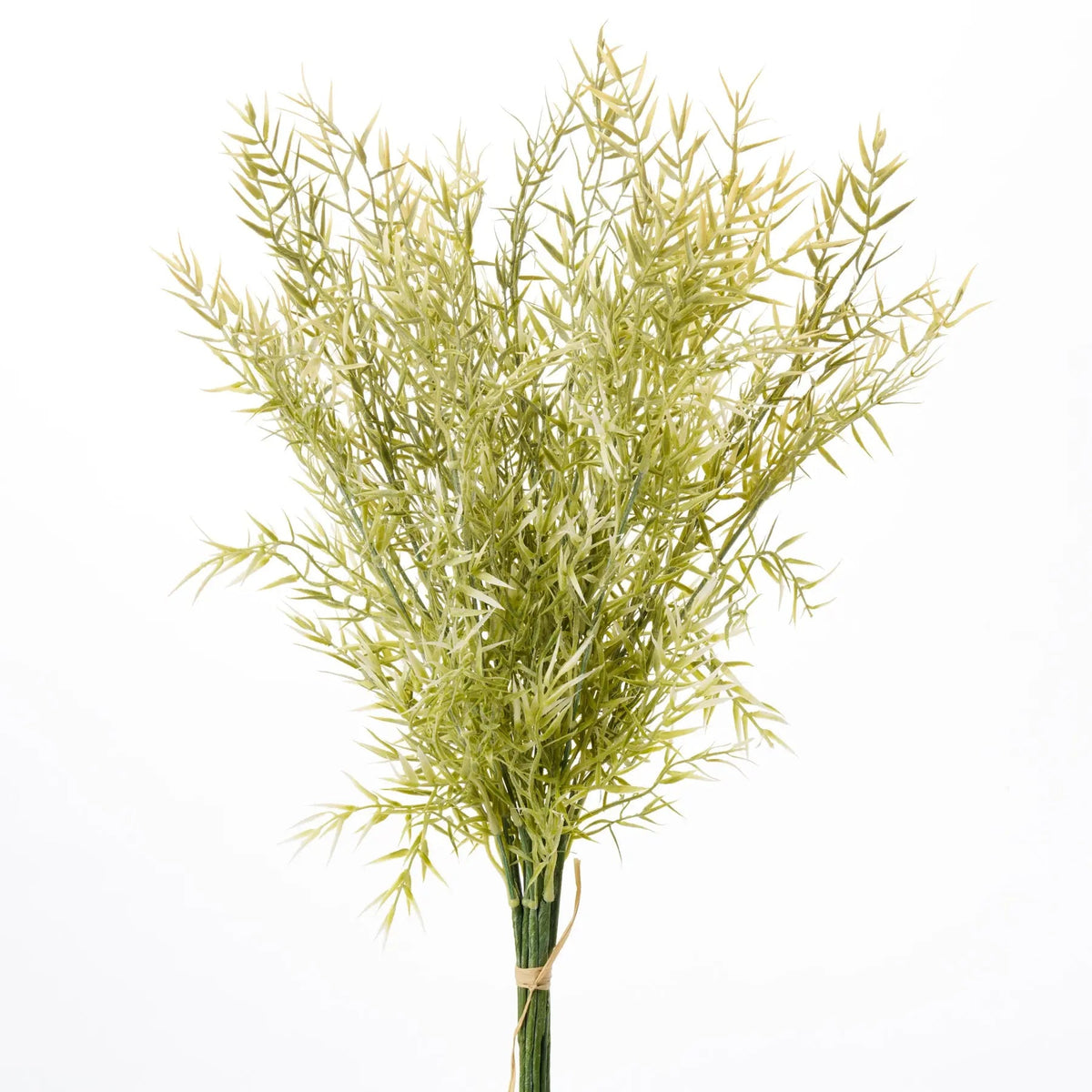 Yulemere Yellow and Sage Green Common Juniper Bundle of 14 Stems overall view