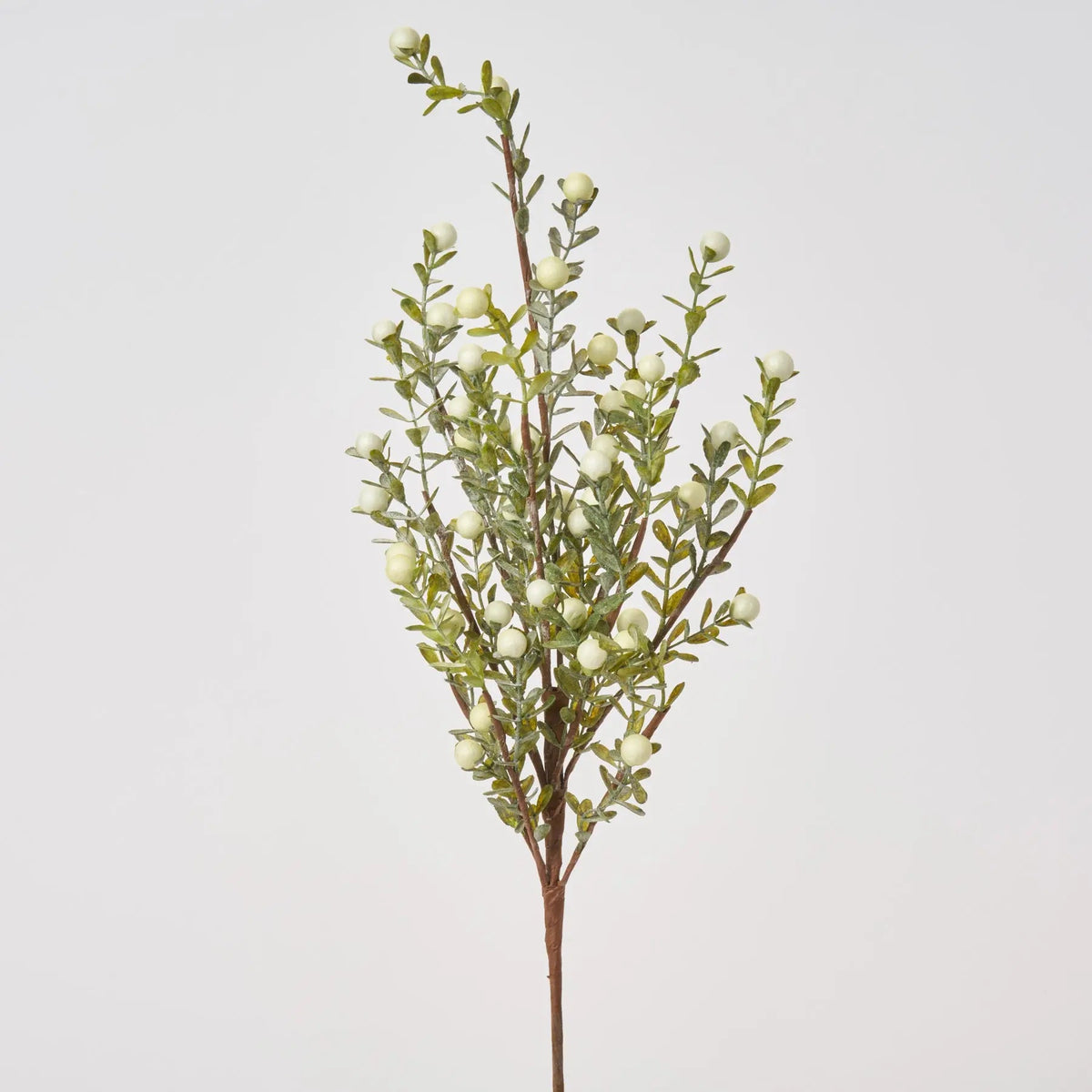 Yulemere Lifelike Cream Winterberry and Boxwood Winter Holiday Stem overall view