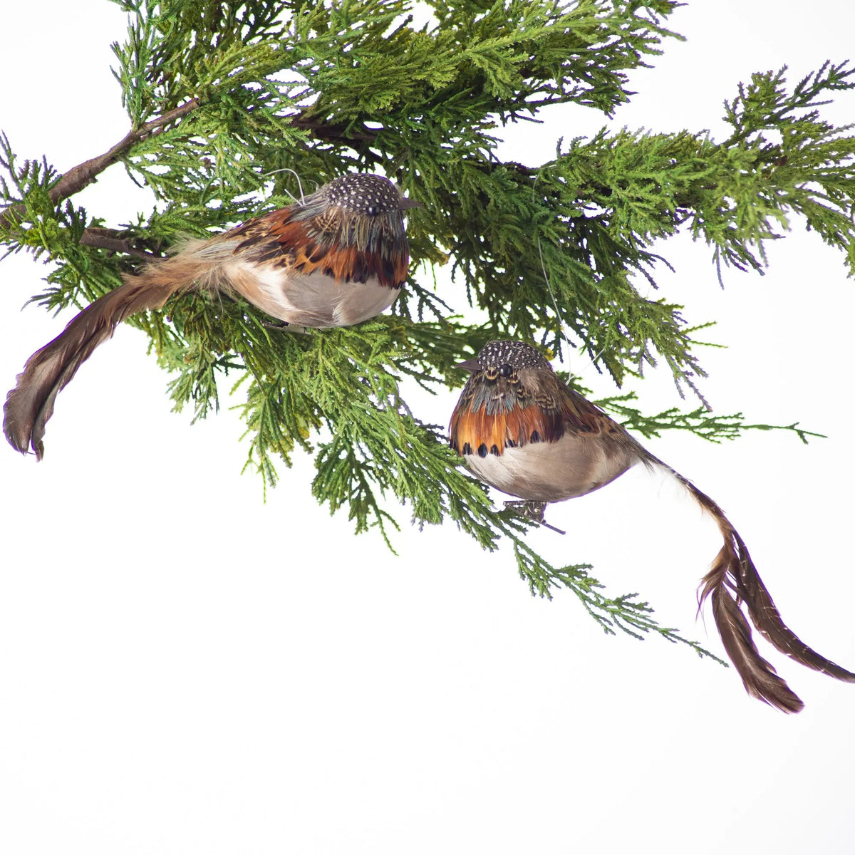 Yulemere Brown Mixed Speckled Feather Clip on Bird Christmas Ornament overall view