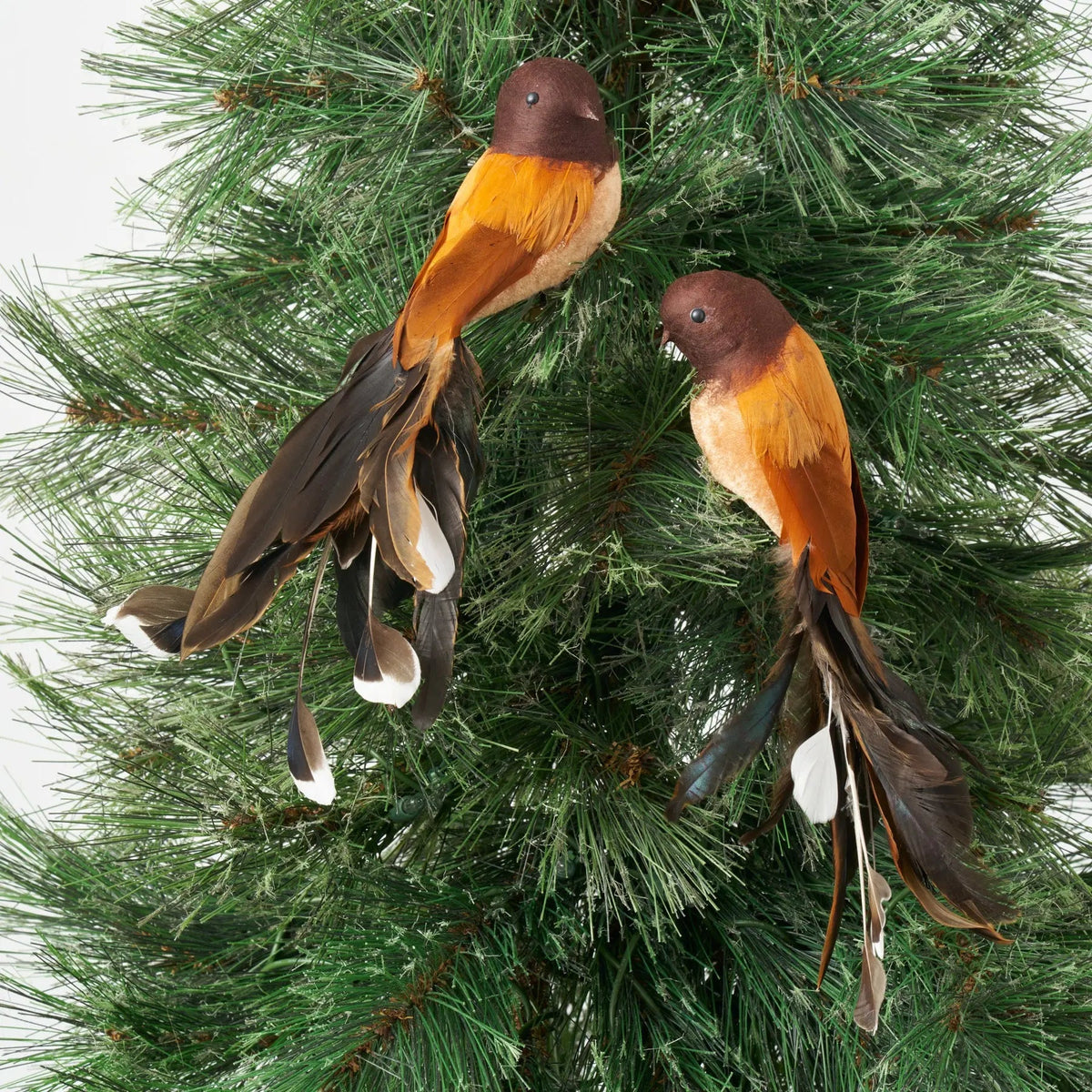 Yulemere Orange and Black Feather Clip on Bird Christmas Ornament overall view
